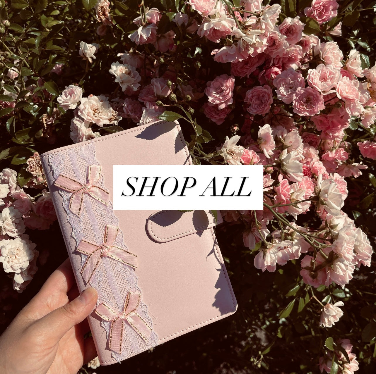 Shop All