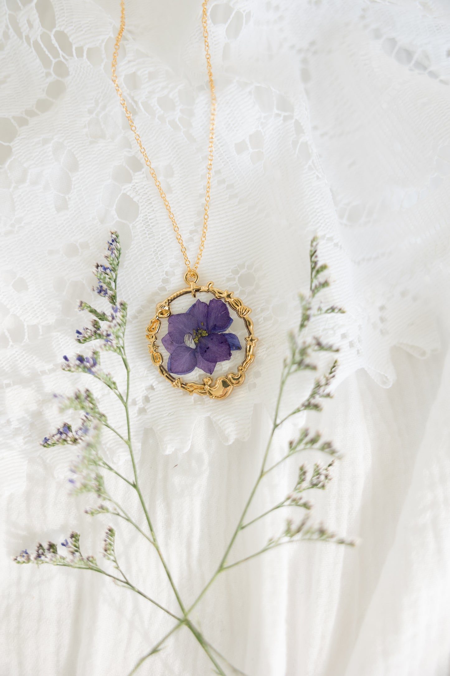 Purple Larkspur