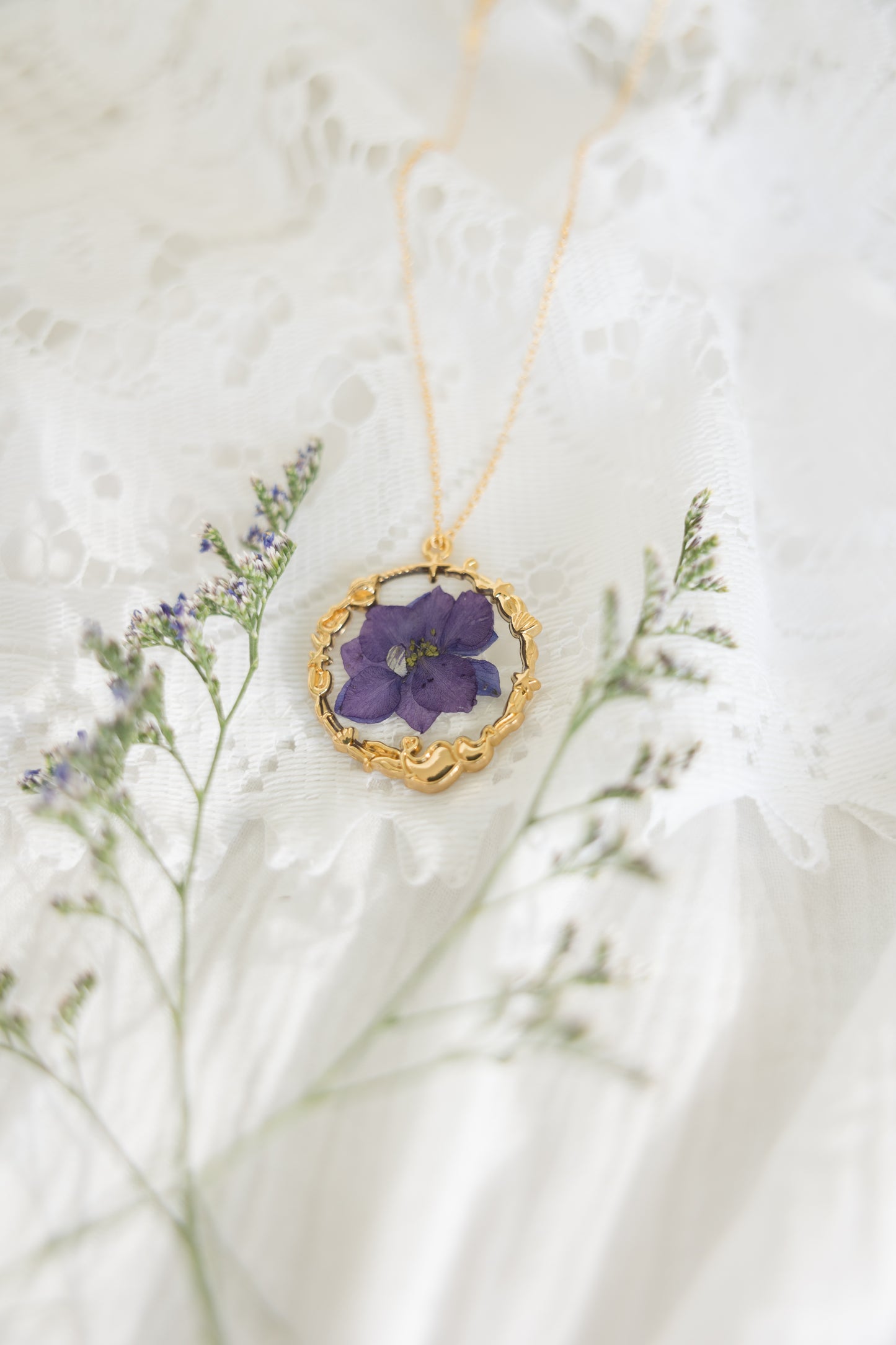 Purple Larkspur
