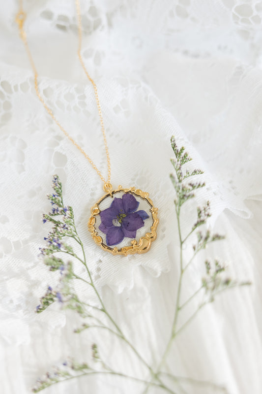 Purple Larkspur