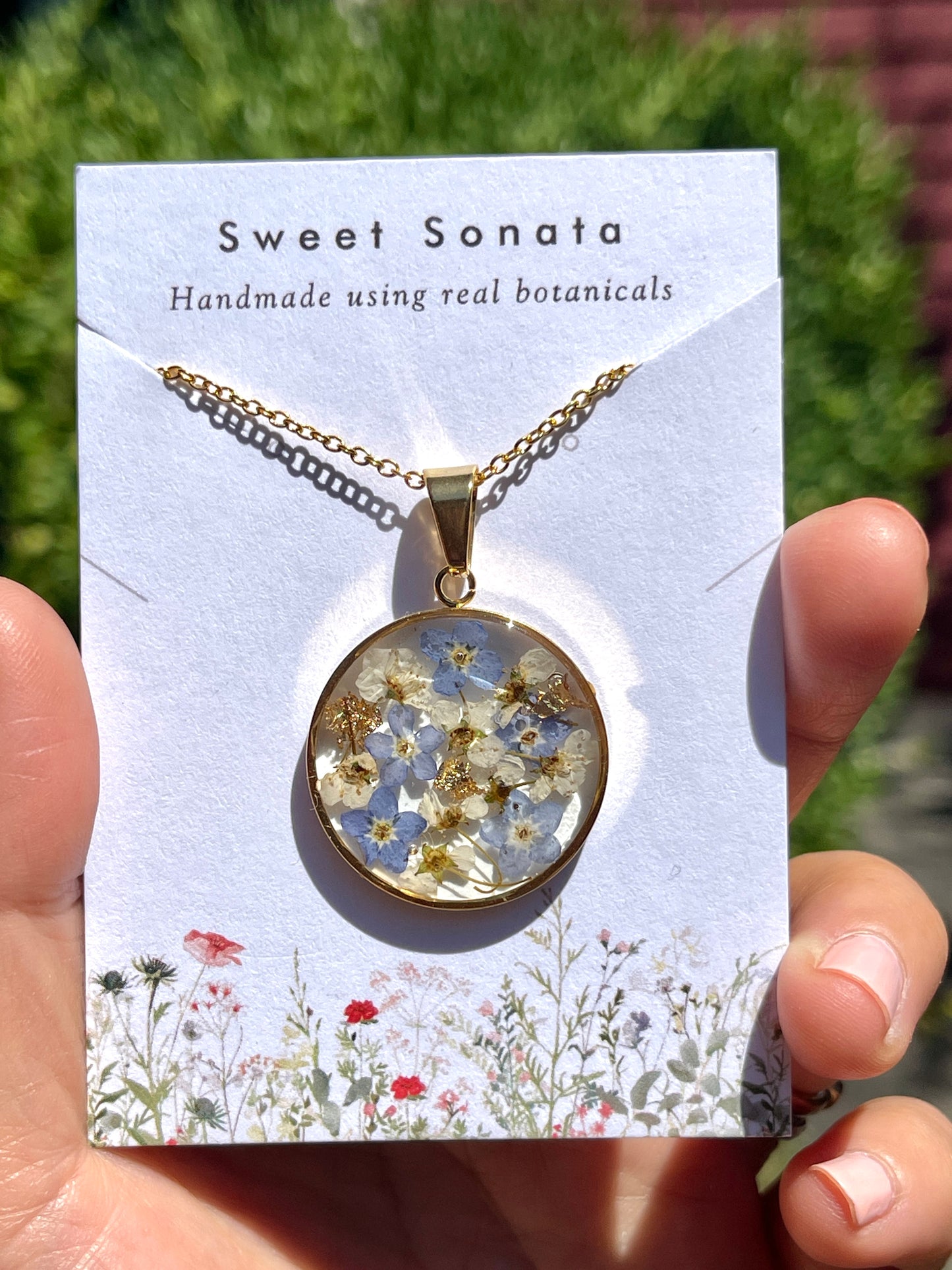 Royal forget-me-nots