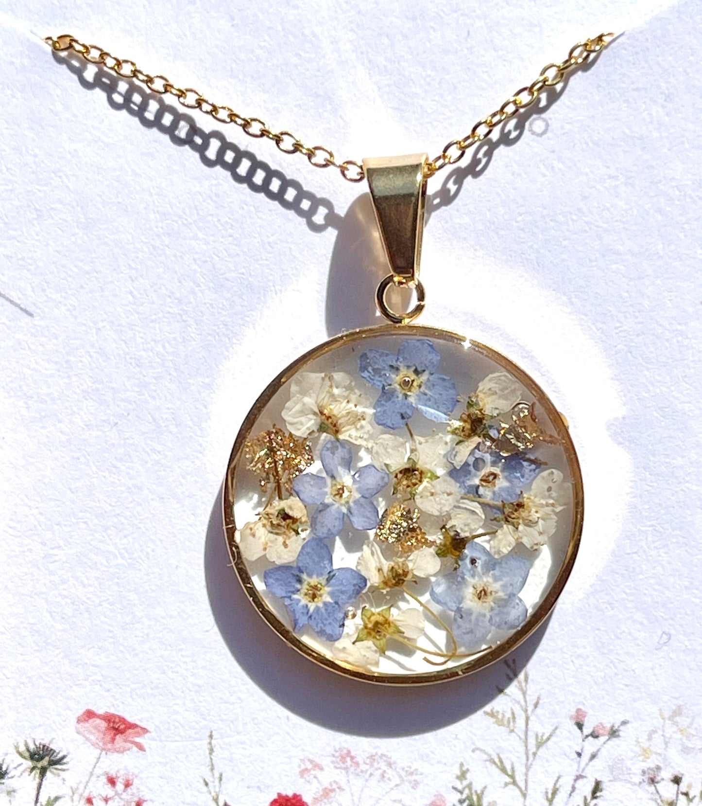Royal forget-me-nots