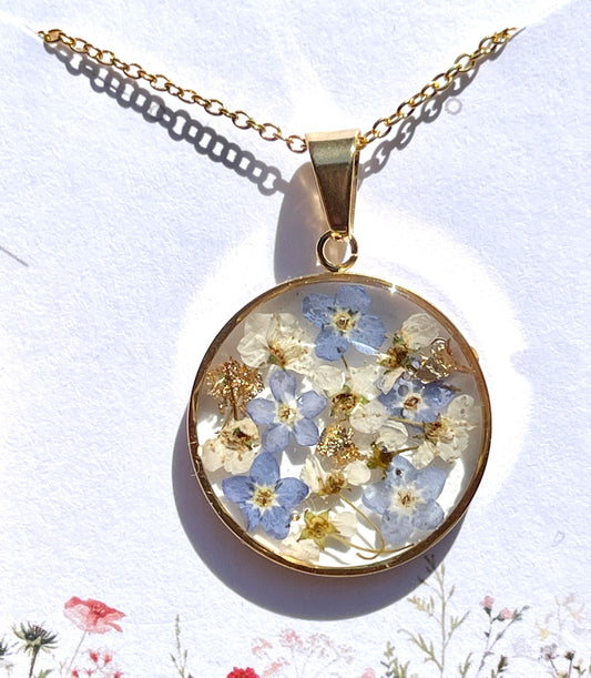 Royal forget-me-nots
