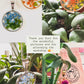 Botanical pendants making workshop (Aug 8, Saturday Afternoon 1:30-3:00PM)